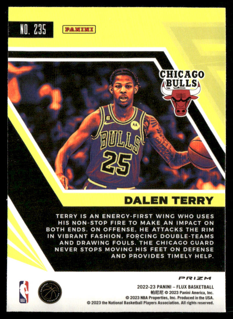 Dalen Terry 2022-23 Panini Flux Red Cracked Ice #235 RC Chicago Bulls
