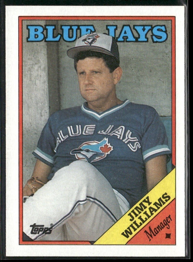 Manger Lot Bundle 10 Different Baseball Cards M005 back