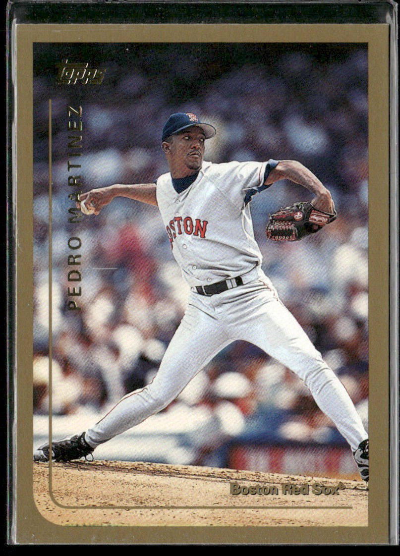 Pedro Martinez Player Lot Bundle 10 Different Baseball Cards PM001 Red Sox back