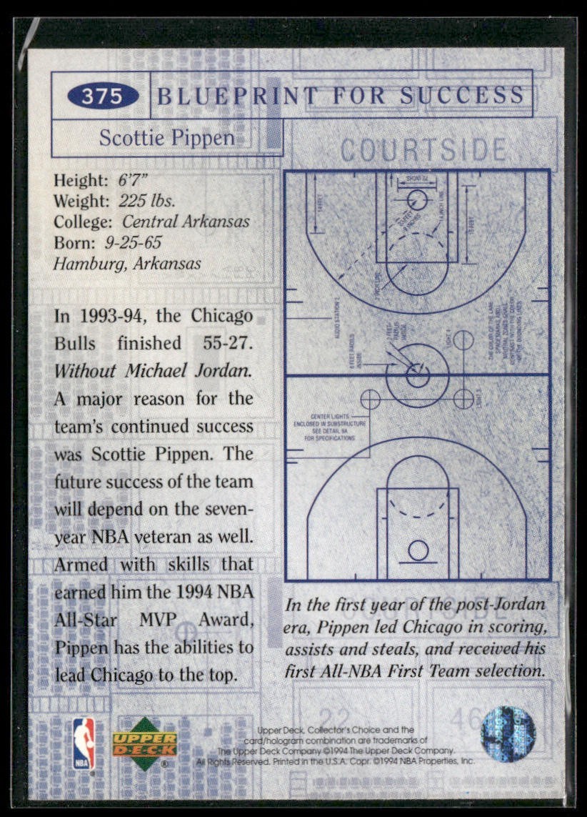 Scottie Pippen Player Lot Bundle 10 Basketball Cards SP004 Chicago Bulls back