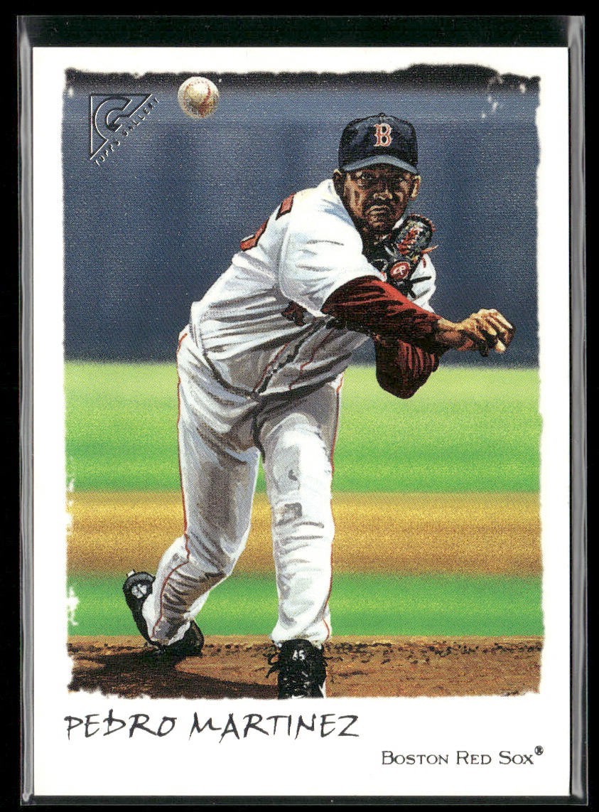 Pedro Martinez Player Lot Bundle 10 Different Baseball Cards PM001 Red Sox back