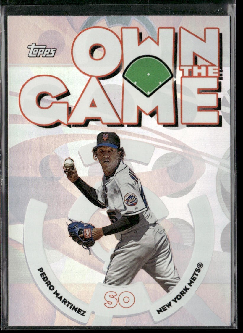 Pedro Martinez Player Lot Bundle 10 Different Baseball Cards PM001 Red Sox back