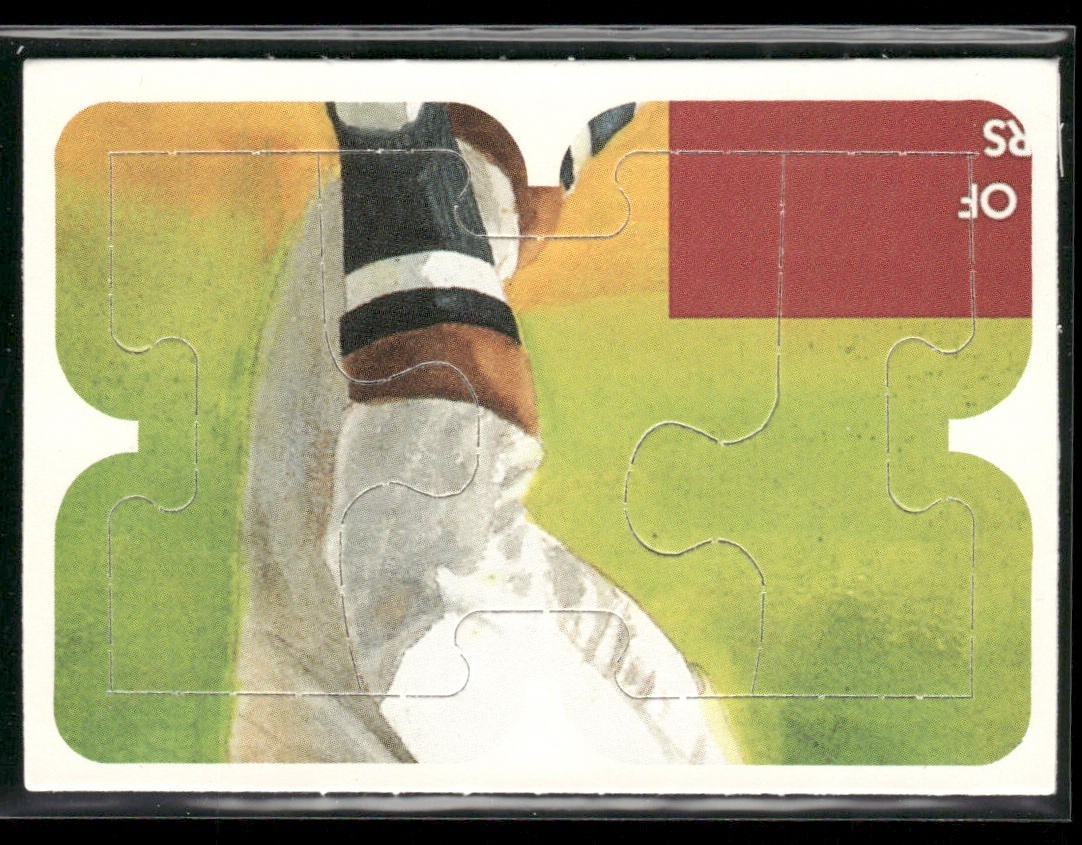 Puzzle Piece Lot Bundle 10 Different Baseball Cards P001 back