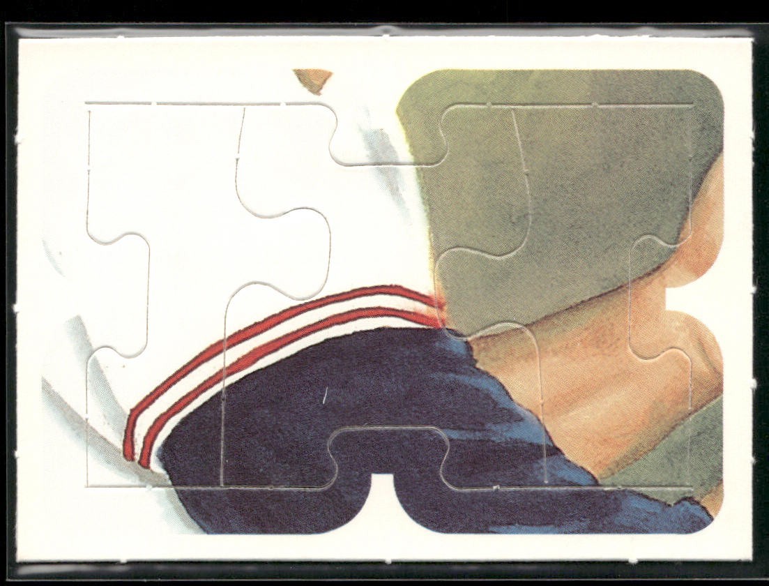 Puzzle Piece Lot Bundle 10 Different Baseball Cards P013 back