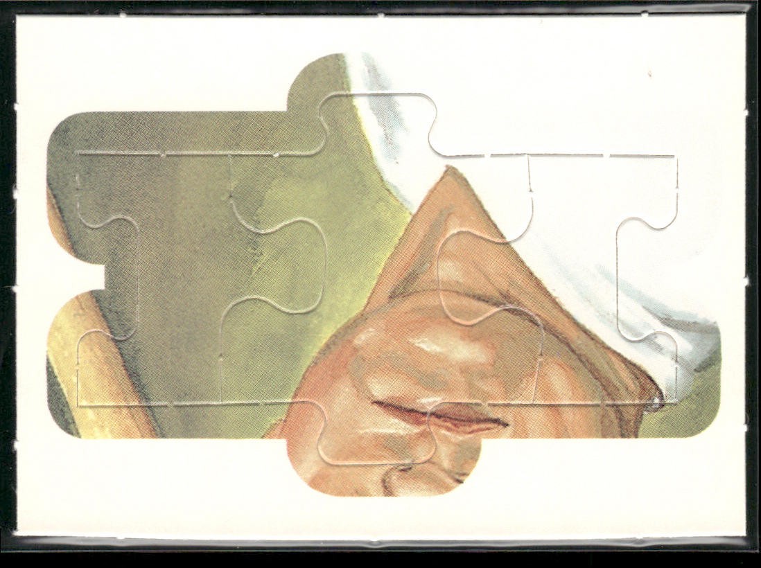Puzzle Piece Lot Bundle 10 Different Baseball Cards P012 back